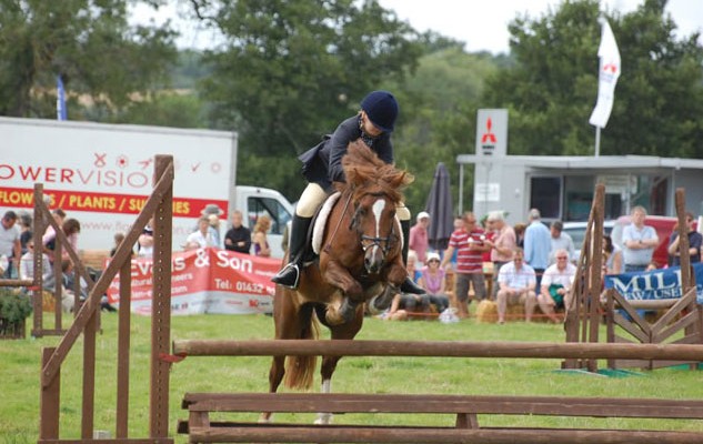 equestrian