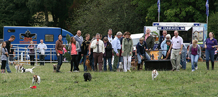 Terrier Racing